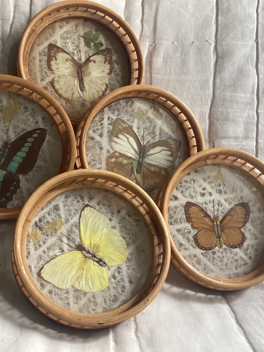 SET OF FIVE VINTAGE BAMBOO & RATTAN WOVEN BUTTERFLY THEMED COASTERS